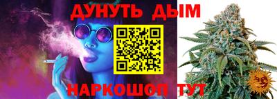 мдпв Гусь-Хрустальный