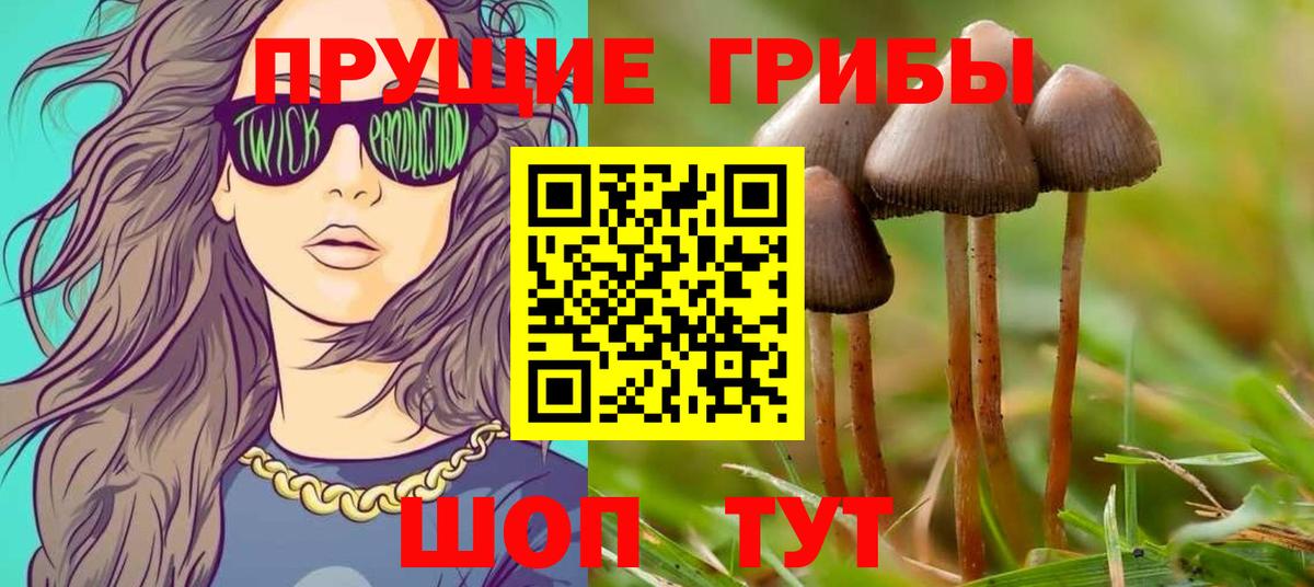 Мытищи  дарнет шоп  Вход с VPN  Галлюциногенные грибы Psilocybe 